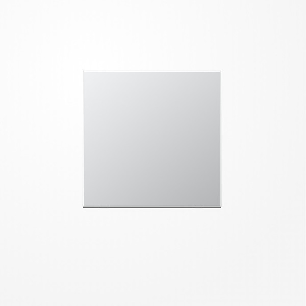 Jung AL2990 Wippe, Serie LS, Aluminium