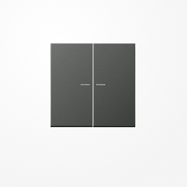 Jung AL2995KO5AN Wippe mit Lichtleiter, Aluminium lackiert, Serie LS, anthrazit
