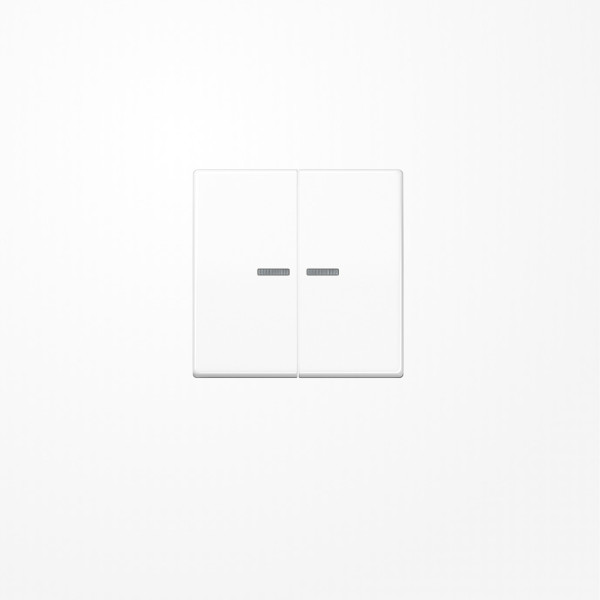 Jung BTAS17102WW JUNG HOME Taster 2fach, Duroplast, Serie AS, alpinweiß