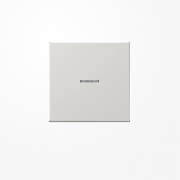 Jung BTLS17101LG JUNG HOME Taster 1fach, Duroplast, Serie LS, lichtgrau