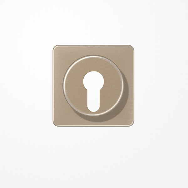 Jung CD528GB Abdeckung für Schlüsselschalter mit Demontageschutz, Aluminium eloxiert, Serie CD, gold-bronze