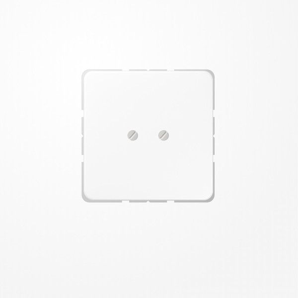 Jung CD561BWW Blind-Abdeckung (geschraubt), Duroplast, Serie CD, alpinweiß