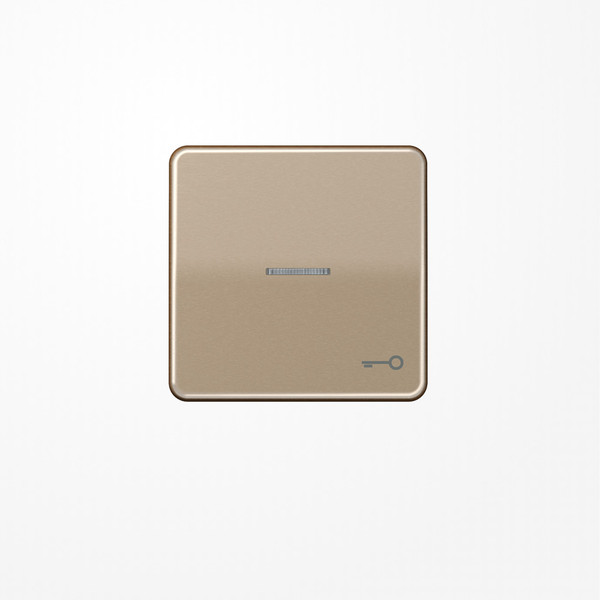 Jung CD590KO5TGB Wippe mit Lichtleiter, Symbol Tür, Aluminium eloxiert, Serie CD, gold-bronze