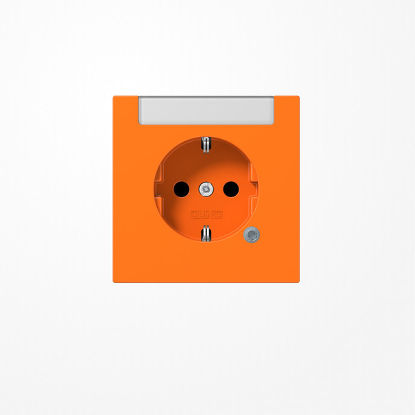 Jung LS1520INAKOO SCHUKO-Steckdose, 16 A 250 V ~, mit Funktionsanzeige, mit integriertem Beschriftungsfeld (sprühnebeldicht), SAFETY+, Thermoplast, Serie LS, orange (f