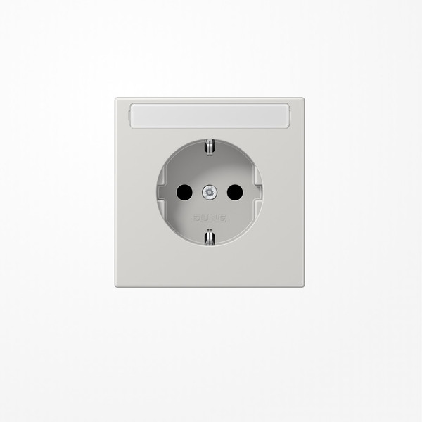 Jung LS1520KINALG SCHUKO-Steckdose, 16 A 250 V ~, mit Schriftfeld, SAFETY+, Duroplast, Serie LS, lichtgrau