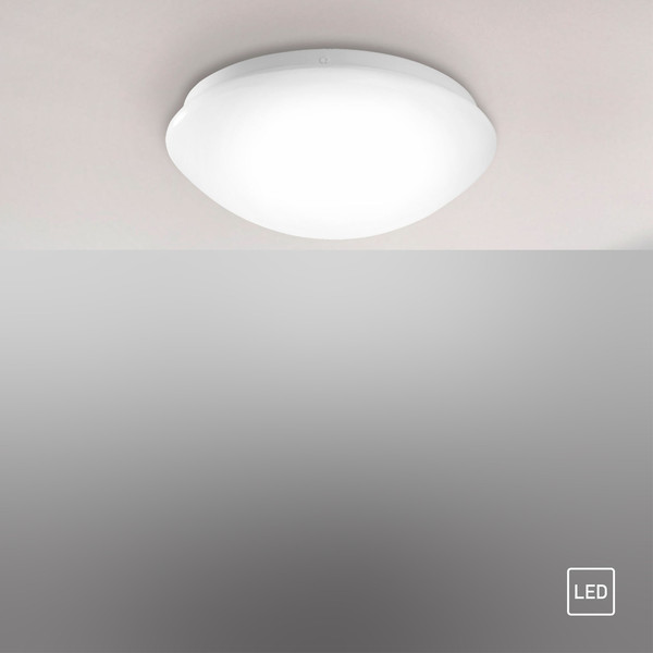 JUST LIGHT ANDREA-LED LED Deckenleuchte Warmweiss 6,2W weiss 14243-16
