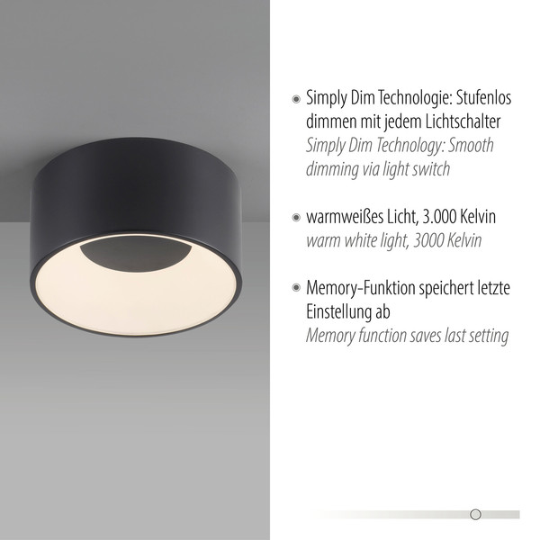 JUST LIGHT TANIKA LED Deckenleuchte Warmweiss Dimmbar 13W schwarz 14325-18