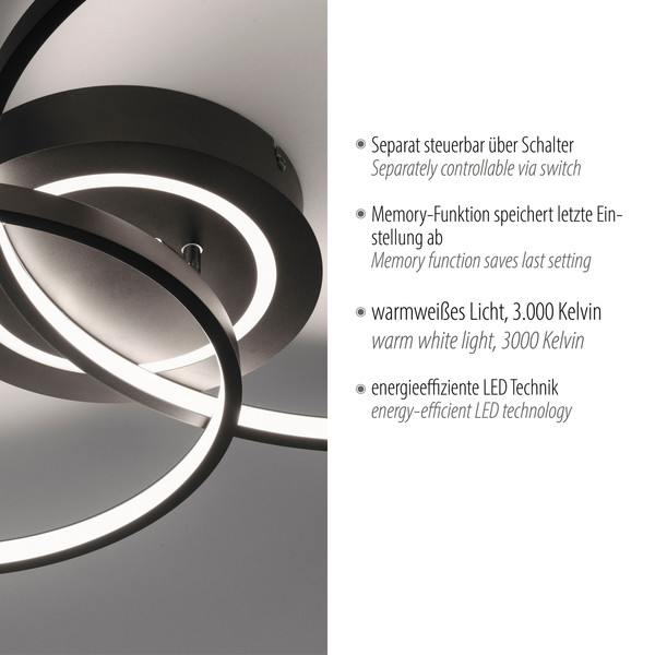 JUST LIGHT ASMINA LED Deckenleuchte Warmweiss 27,6W 2-fach schwarz 14540-18