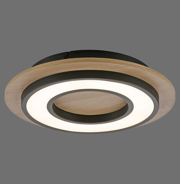 JUST LIGHT TOLA LED Deckenleuchte Warmweiss 16W schwarz 14560-18