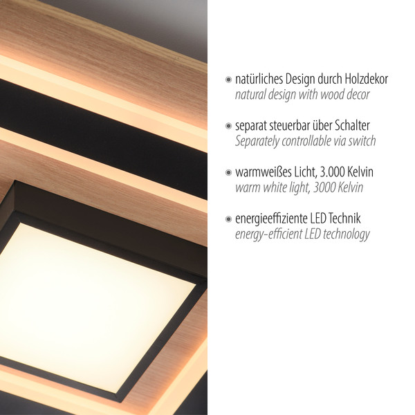 JUST LIGHT TOLA LED Deckenleuchte Warmweiss 26W 2-fach schwarz 14563-18