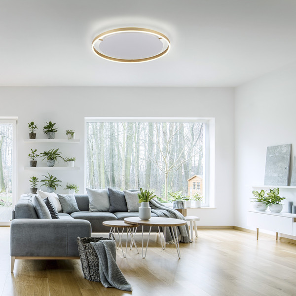 JUST LIGHT RITUS LED Deckenleuchte Warmweiss Dimmbar 28W messingmatt 15392-60