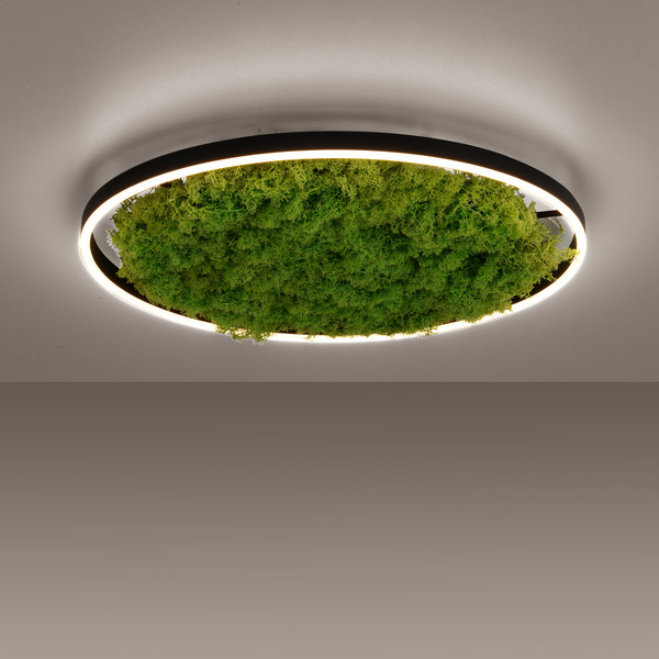 JUST LIGHT GERDA RITUS LED Deckenleuchte Warmweiss Dimmbar 28W moos 15392-66