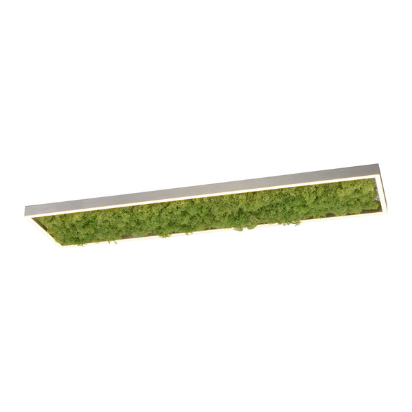 JUST LIGHT GERDA KNUT LED Deckenleuchte Warmweiss Dimmbar 25W moos 15623-66