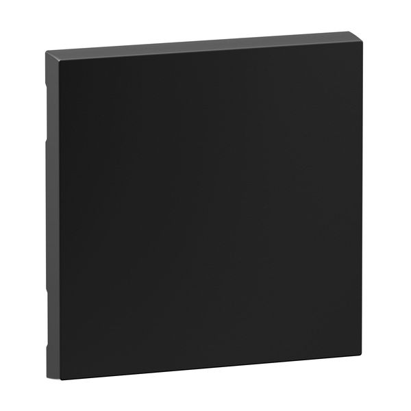 Legrand SEANO Wippe für 2-poligen Ausschalter, Schalterabdeckung, Wippenplatte, Schwarz, 765305