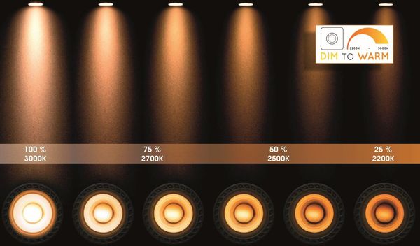 Lucide DORIAN LED Deckenleuchte 2x GU10 Dim-to-warm 2x 12W dimmbar 360° drehbar Schwarz 95Ra 22968/24/30