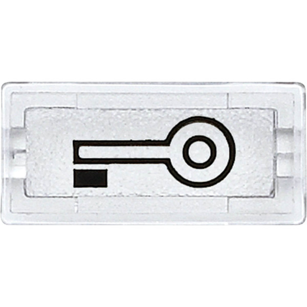 Merten 395769 Symbole, rechteckig, Schlüssel, glasklar