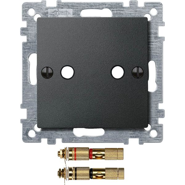 Merten 469314 Zentralplatte mit High-End Lautsprecher-Steckverbinder, anthrazit, System M