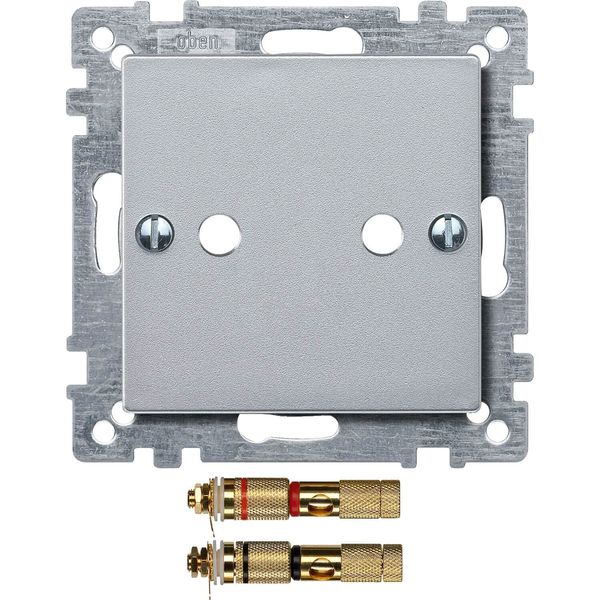 Merten 469360 Zentralplatte mit High-End Lautsprecher-Steckverbinder, aluminium, System M