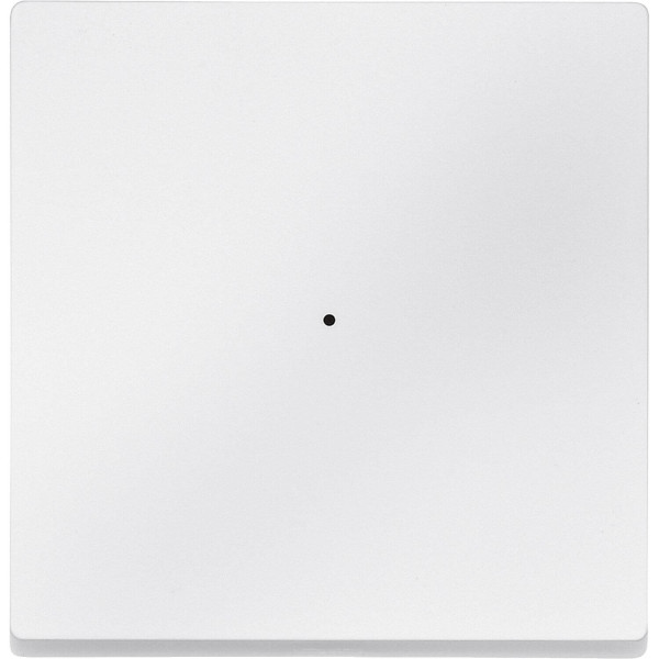 Merten 625119 Wippe für Tastermodul 1fach, polarweiß, System M