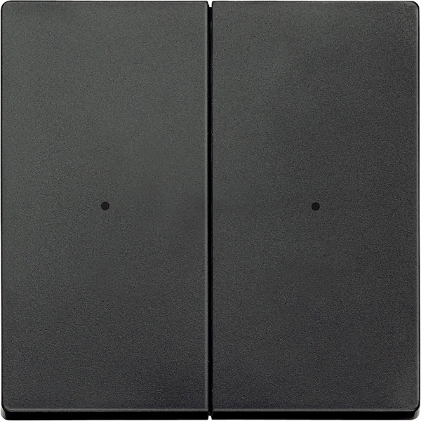 Merten 625214 Wippen für Tastermodul 2fach, anthrazit, System M