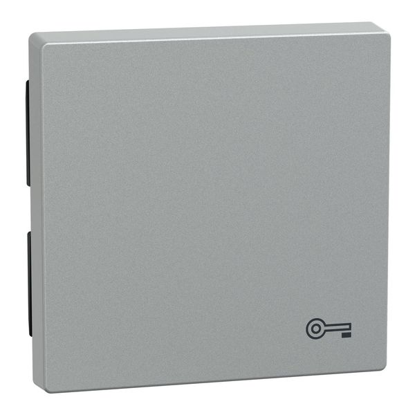 Merten MEG3303-0460 Wippe für Kennzeichnung Schlüssel, aluminium, System M