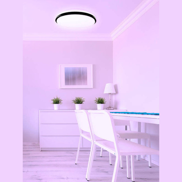 Müller Licht LED Wand- und Deckenleuchte Taro+ 40 21000069