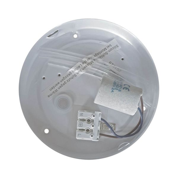 Niermann E14 Nurglasleuchte Opal matt, 20cm, Made in EU