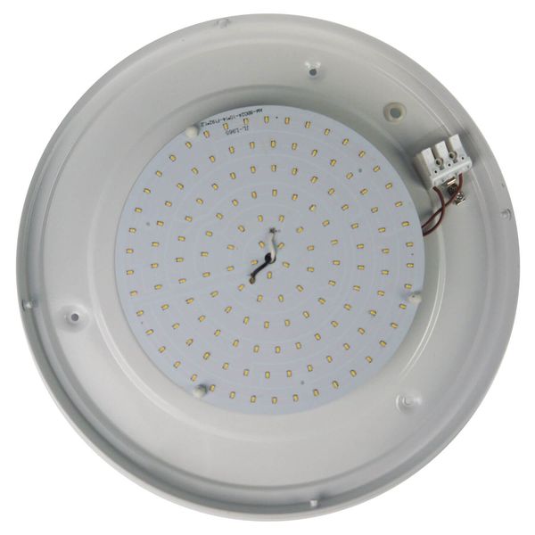 Niermann LED 10W Deckenleuchte satiniert Glas Klarrand, Nickel matt, 30cm, warmweiss, Made in Germany