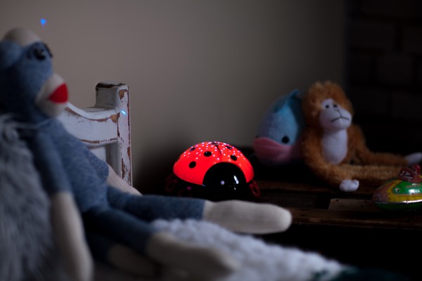 Niermann Beetlestar LED Nachtlicht 1,5W Rot-Schwarz