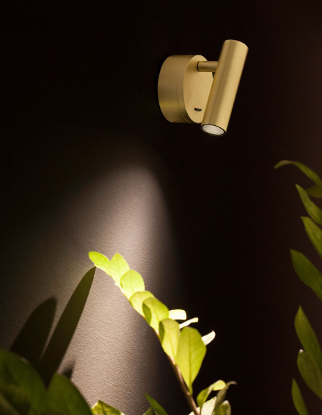 Nova Luce CLIP LED Wandleuchte Satin 3W Warmweiss 8x3,4x11cm 9030203