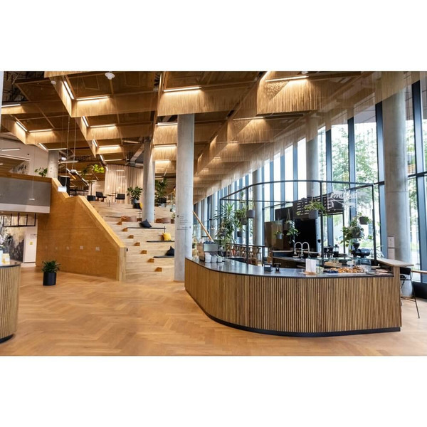 Philips LED Röhre T8 G13 MASTER UO 120cm KVG + 230V 13,5W 2500lm Tageslichtweiss 6500K wie 36W 8720169387973