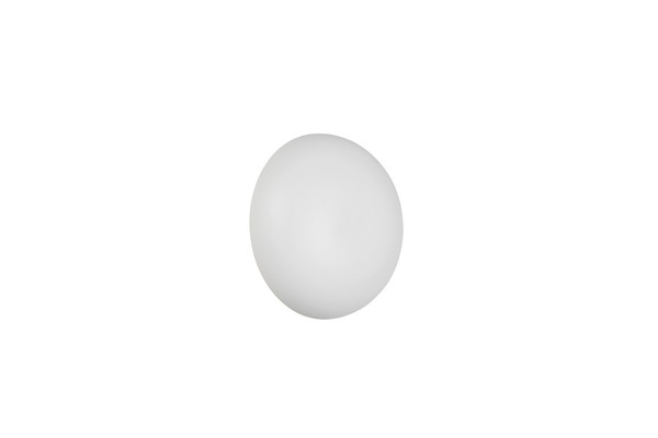 Reality R24431131 Davey LED Wandleuchte 1,5W ⌀15,5cm Weiß Matt warmweiss Touch