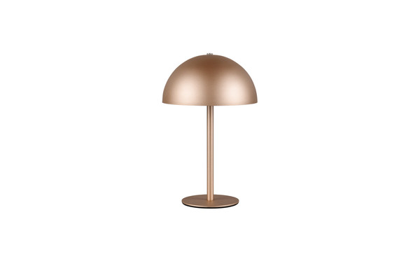 Reality R54891165 Munoz LED Tischleuchte 1,3W ⌀13cm Coffee warmweiss Touch