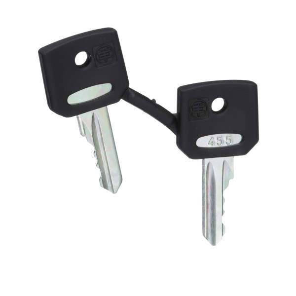 Schneider Electric ZBG455 Ersatzschlüssel für Schlüsselschalter, 455, Verpackungseinheit: 2 Stck.