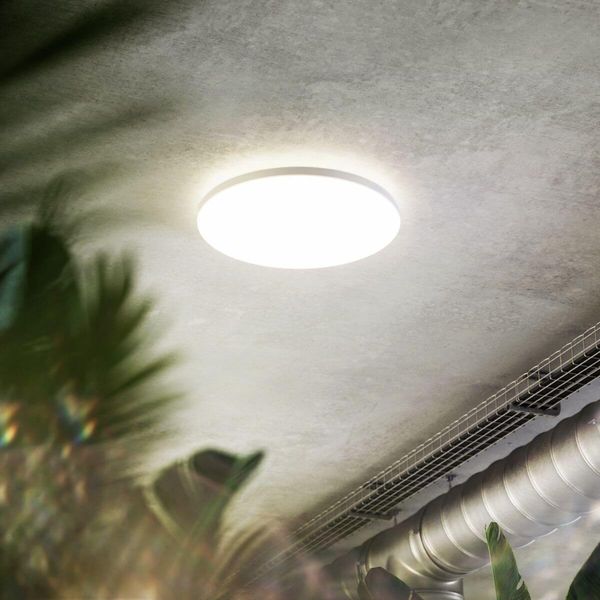 SIGOR Aufbauleuchte Shine 300mm weiß Ra90 DALI Deckenleuchte 10/18/24W 3000/4000K IP20 110° 1000/1800/2300lm