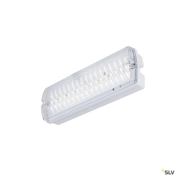 SLV 1010505 P-LIGHT, Wand- und Deckenaufbauleuchte, rechteckig, 6000K, 5.2 W, weiß / transparent