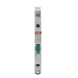 ABB E215-16-11D Taster Grün 16A 1S+1Ö 250VAC