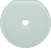 Berker 109409 Glasabdeckendplatte für Drehschalter/-taster Serie Glas polarweiß
