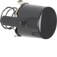 Berker 122501 Tasterknopf f. Druckt. u. Lichtsignal E10 1930/Glas/Palazzo schwarz. glänzend