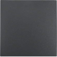 Berker 16201606 Wippe S.1/B.3/B.7 anthrazit. matt