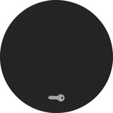 Berker 16202015 Wippe mit Aufdruck Symbol Tür R.1/R.3 schwarz. glänzend