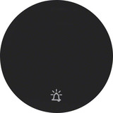Berker 16202025 Wippe mit Aufdruck Symbol Klingel R.1/R.3 schwarz. glänzend