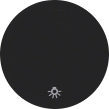 Berker 16202035 Wippe mit Aufdruck Symbol Licht R.1/R.3 schwarz. glänzend