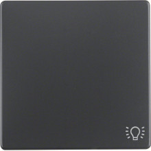 Berker 16206046 Wippe mit Aufdruck Symbol Licht Q.x anthrazit. samt