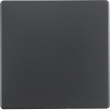 Berker 16206086 Wippe Q.x anthrazit. samt