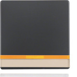 Berker 16286086 Wippe mit 2 beiliegenden Linsen und Beschriftungsfeld Q.x anthrazit. samt