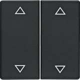 Berker 16446086 Wippe 2fach mit Aufdruck Symbol Pfeile Q.x anthrazit. samt