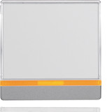 Berker 16966084 Wippe mit 2 beiliegenden Linsen und großem Beschriftungsfeld Q.x alu samt. lack.