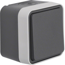 Berker 30763505 Wechselschalter AP W.1 grau LT