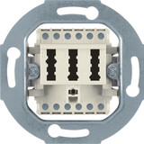 Berker 454402 TAE-Steckdose 2 x 6/6NFF Modul-Einsätze weiß. matt